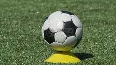 MK体育 资讯 084519 79b