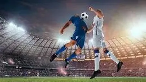 MK体育 产品 084504 fib