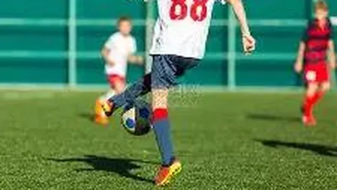 MK体育 资讯 084409 jdf