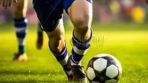 MK体育 产品 084444 q8j