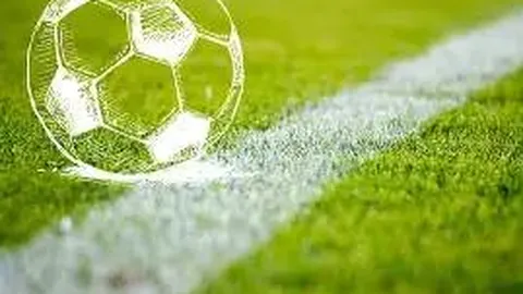 MK体育 资讯 084410 0j1