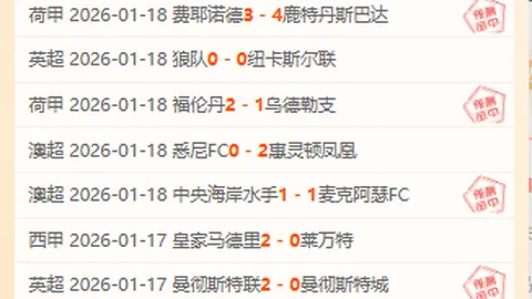 独行侠逆境逆袭胜灰熊，杜兰特伤退太阳轻取马刺